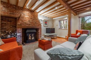 Télévision, cheminée, lecteur de DVD, table de tennis de table