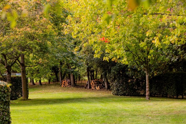 Un parc avec des arbres, une pelouse et un tas de bûches.
