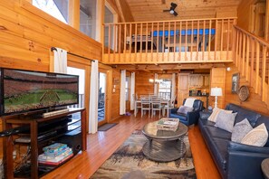 TV, caminetto, lettore DVD, tavolo da ping pong