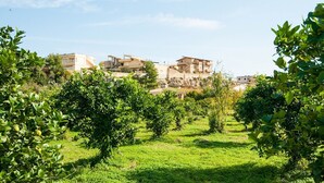 Zona residencial con casas en una ladera, rodeada de vegetación y árboles.