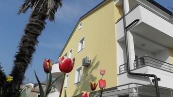 Detalle exterior