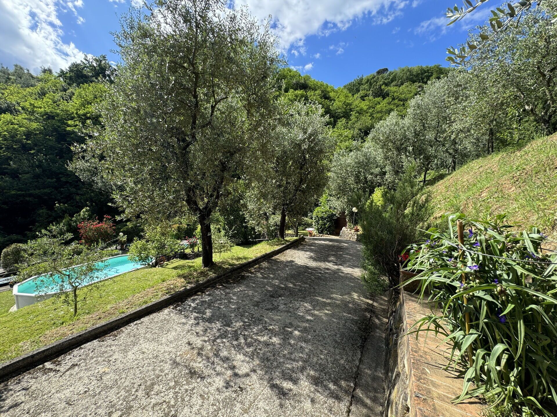 Parco della struttura