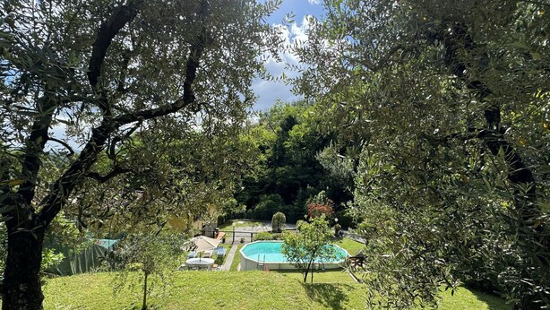 Una piscina rodeada de exuberante follaje y árboles, con un cielo despejado arriba.