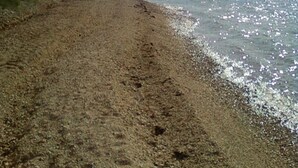 Una playa con costa de guijarros y una vista despejada del mar.