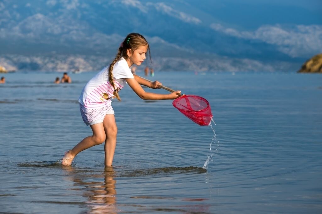 A child playing in shallow water with a red net.