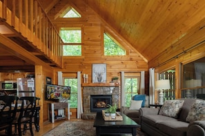 TV, caminetto, videogiochi, lettore DVD