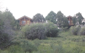 Exterior - Wranglers Quarters RiverView Cabin - Sevier River Ranch - 1 King bed (Hatch)