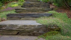 Ein gepflasterter Weg in einem Garten, gesäumt von üppigem Grün.