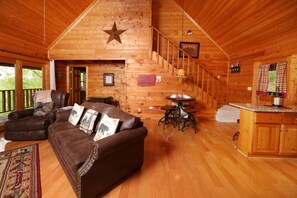 TV, fireplace, video games, DVD player