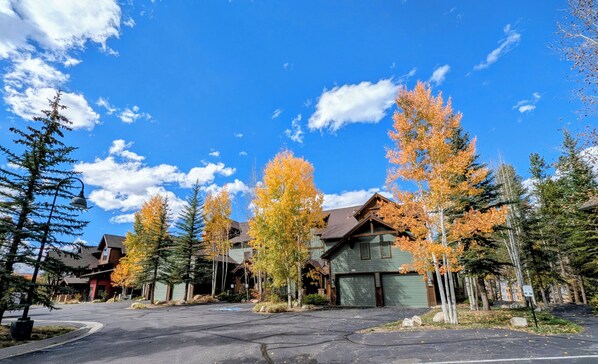 A residential area with houses, a parking lot, and trees with autumn foliage.