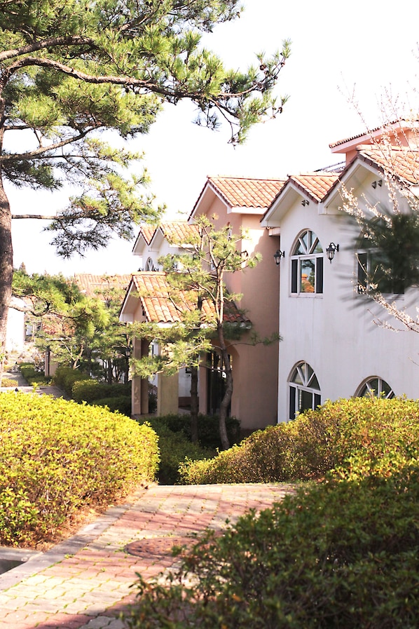 Property entrance - Springdale (Seogwipo)