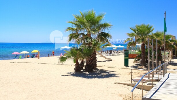 Una playa con palmeras, sombrillas y un camino de madera.