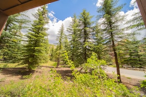 Surrounded by lush coniferous trees, this serene setting offers a peaceful escape.