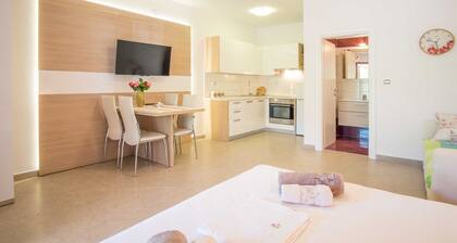 Studio apartment IVA with terrace