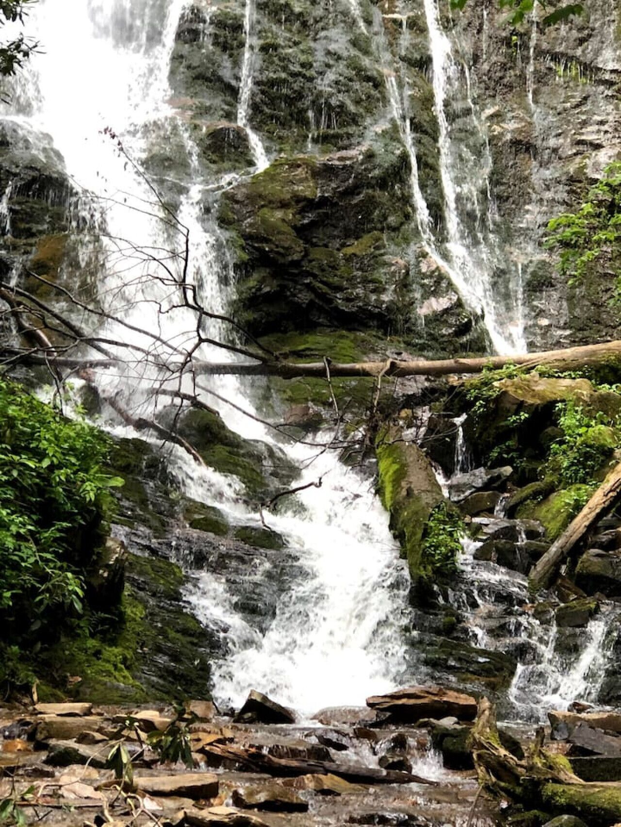 Una cascada fluye sobre rocas en un área boscosa.