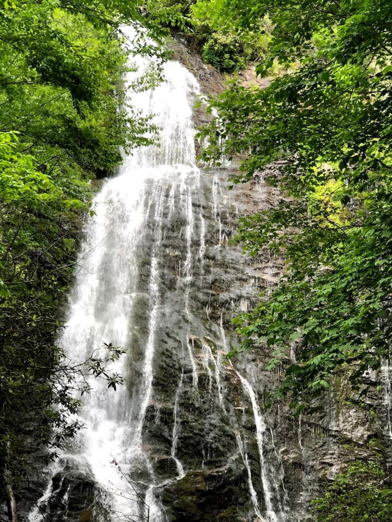 Una cascada se precipita por un acantilado rocoso rodeado de follaje verde exuberante.