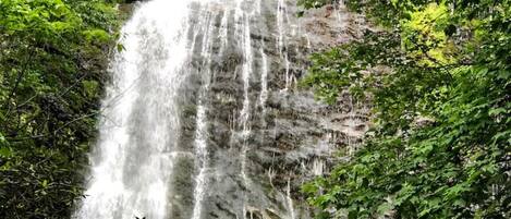 Una cascada se precipita por un acantilado rocoso rodeado de follaje verde exuberante.