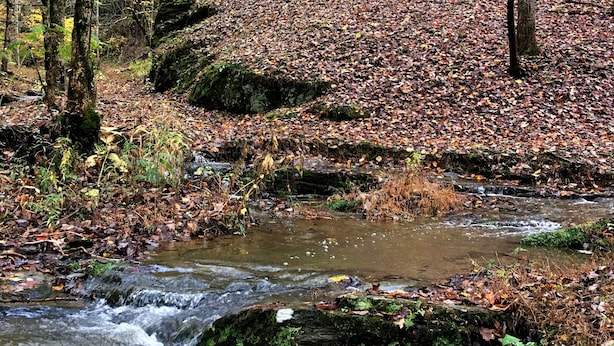 A cabin with a wooden deck, surrounded by a forest with autumn leaves and a stream. - Very Private w/ Beautiful Scenery of Creeks! Pool, Putt Putt, Fishing, Hiking (Sevierville)