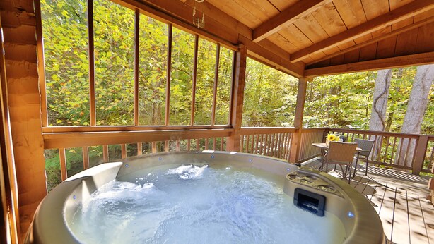 Un bain à remous situé sur une terrasse en bois, avec vue sur les arbres.