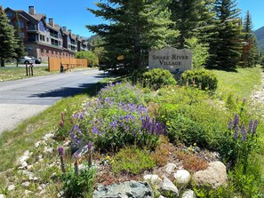 Property grounds - Snake River Retreat | Updated/Balcony/Summer Fun (Keystone)