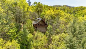 Eine Hütte, umgeben von dichtem Wald.