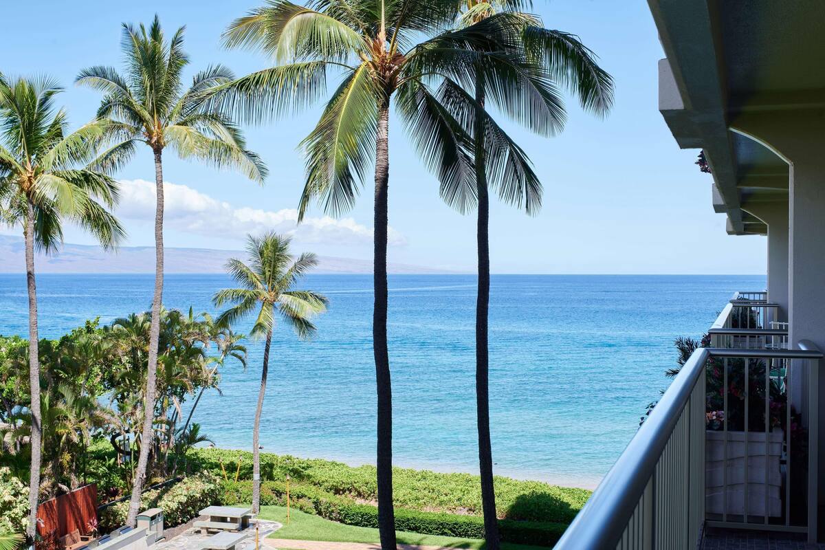 Ein Balkon mit Blick auf das Meer und Palmen.