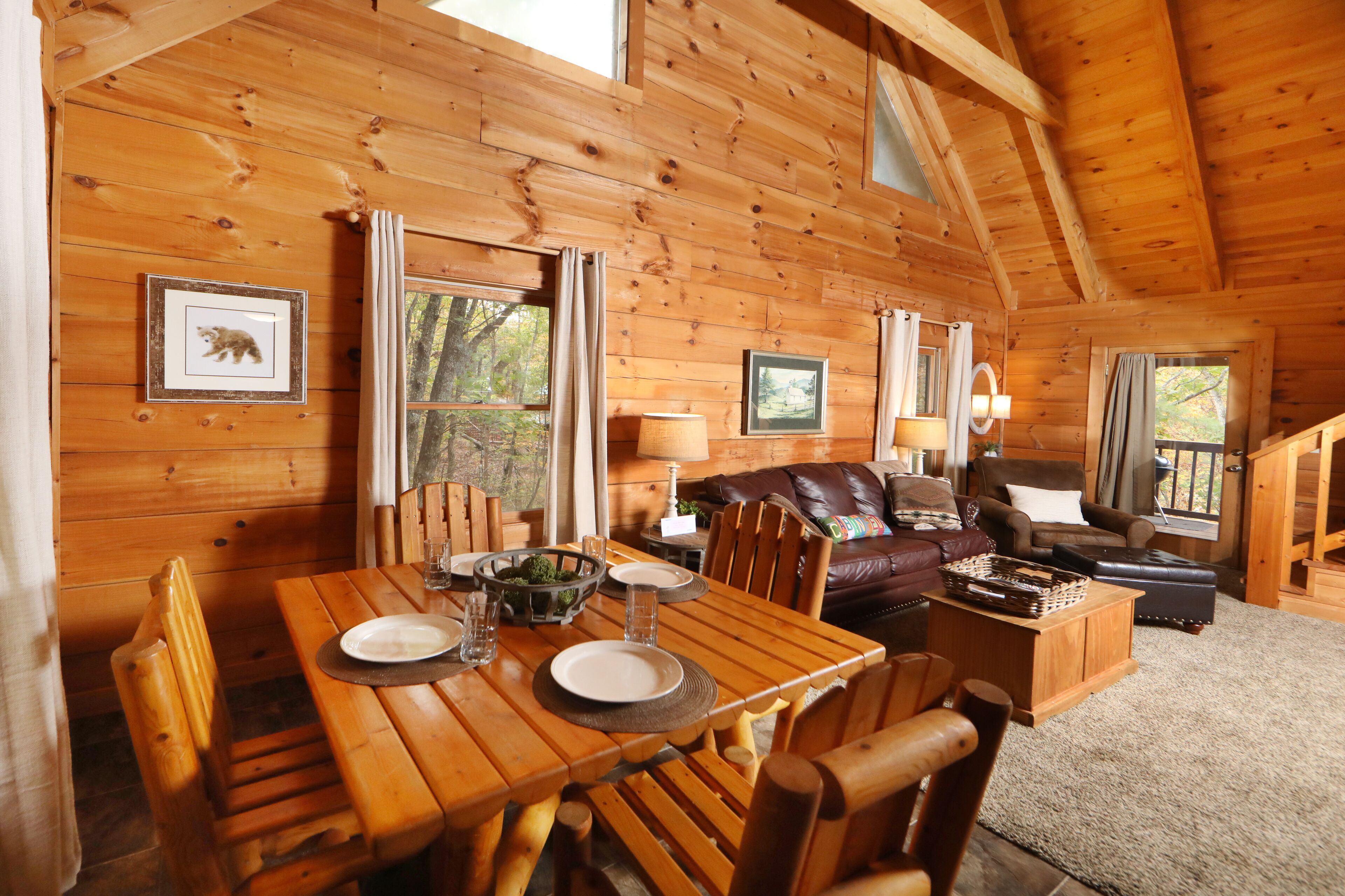 TV, fireplace, DVD player, ping pong