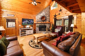 TV, caminetto, videogiochi, lettore DVD