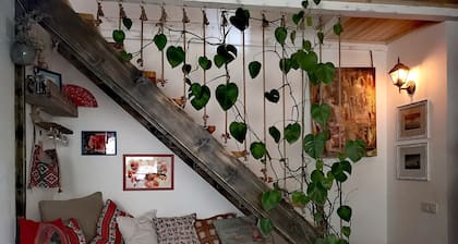 Helen and David's apartment,, Bird's nest"