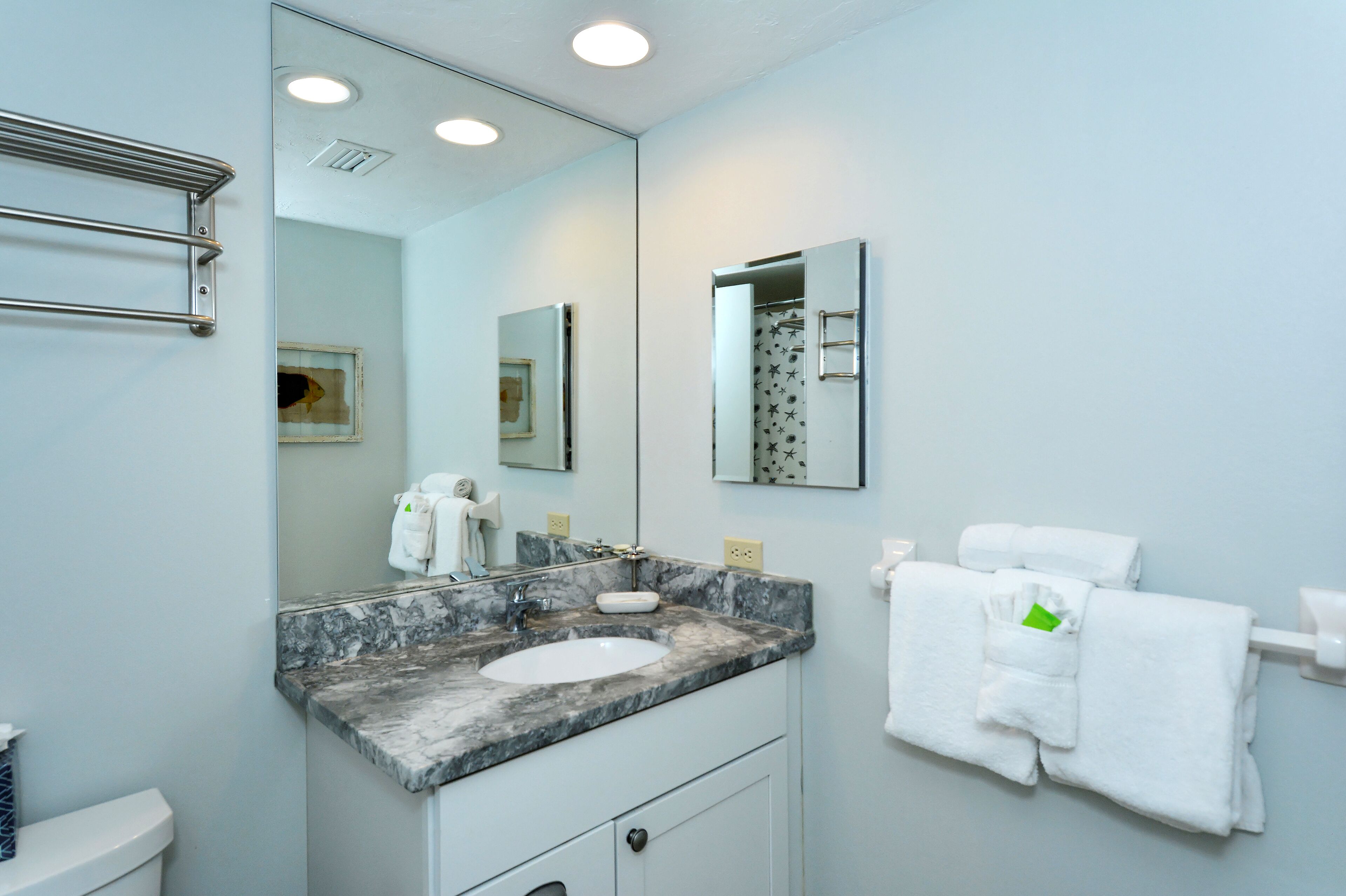 A bathroom with a marble sink, a toilet, a towel rack, and a mirror.