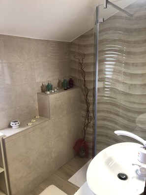 Shower, hair dryer, towels