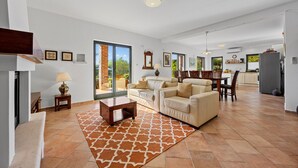 TV, fireplace, DVD player - Villa Maddalena with pool in Istria (Pinezici)