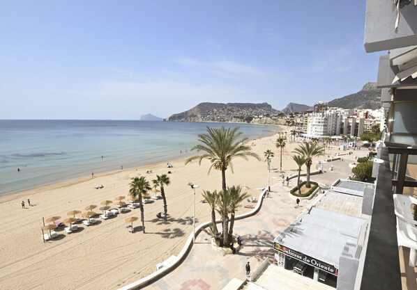 A beach view with palm trees, a promenade, and a building with a sign. - A06 CALPEMAR A 5º 19 (Calpe)