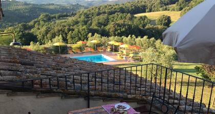 Agriturismo Gello vigna