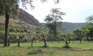 Overnatningsstedets område