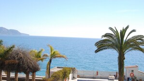 A coastal view with a clear sky, a body of water, and palm trees.
