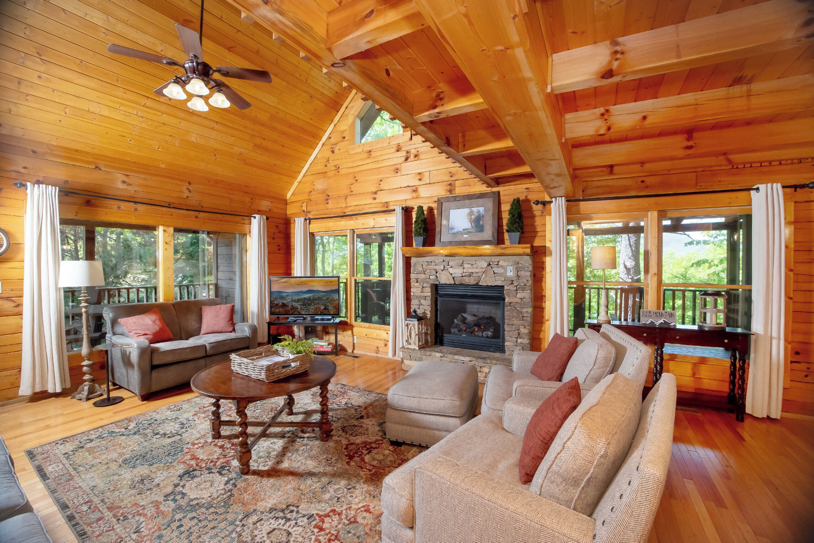 TV, fireplace, video games, DVD player