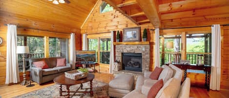 TV, fireplace, video games, DVD player