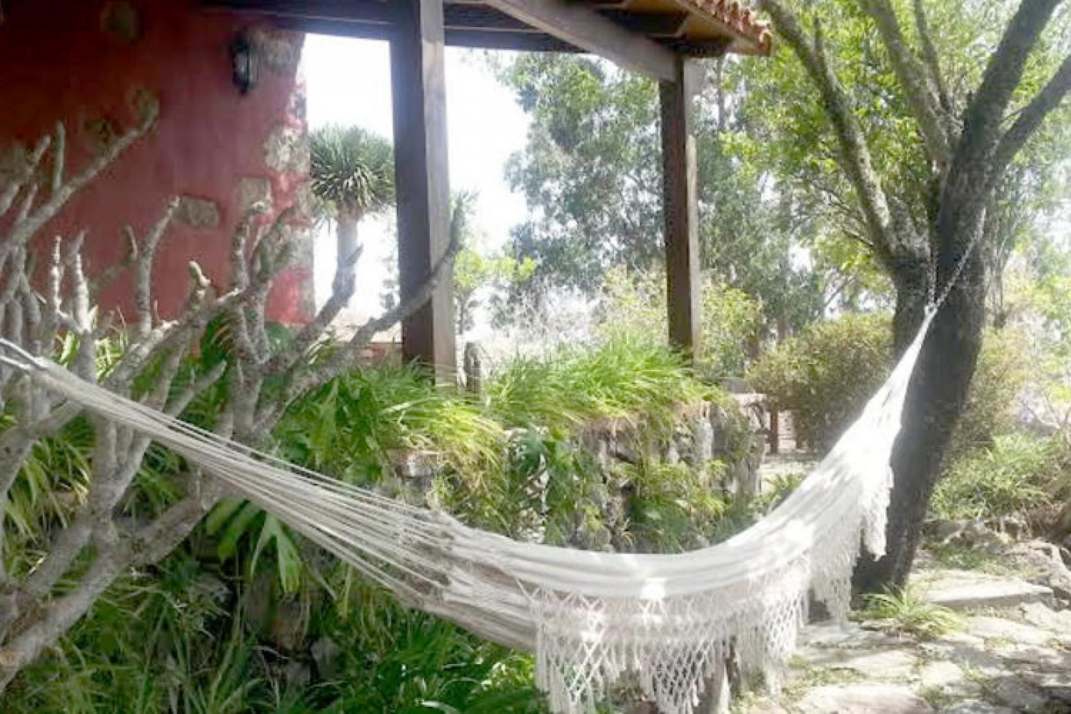 A hammock tied between trees in a garden area with a red building in the background.