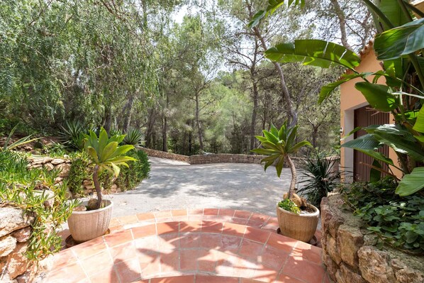 A paved pathway leading to a building surrounded by lush greenery and trees.