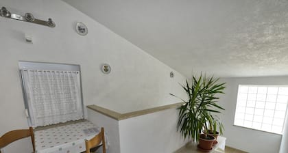 Room Ana Finida in Poreč, Istrien