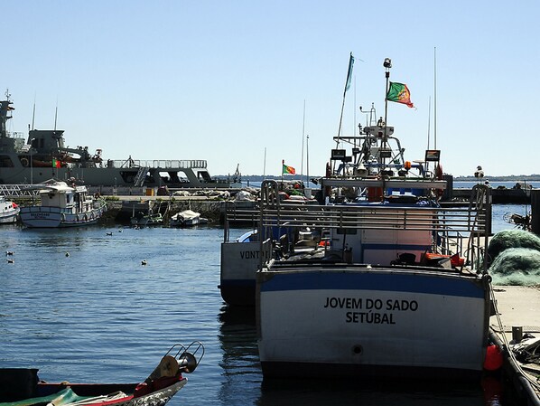 Un port où de nombreux bateaux sont amarrés, dont l’un porte l’inscription « JOVEM DO SADO SETUBAL ».