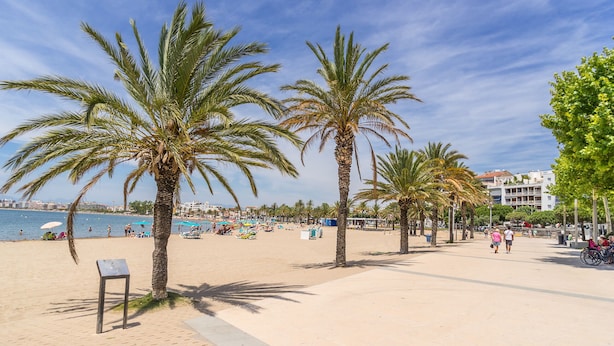 A beach with palm trees, a sandy shore, and a building in the background.