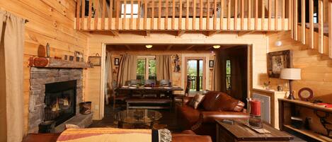 Télévision, cheminée, jeux vidéo, lecteur de DVD