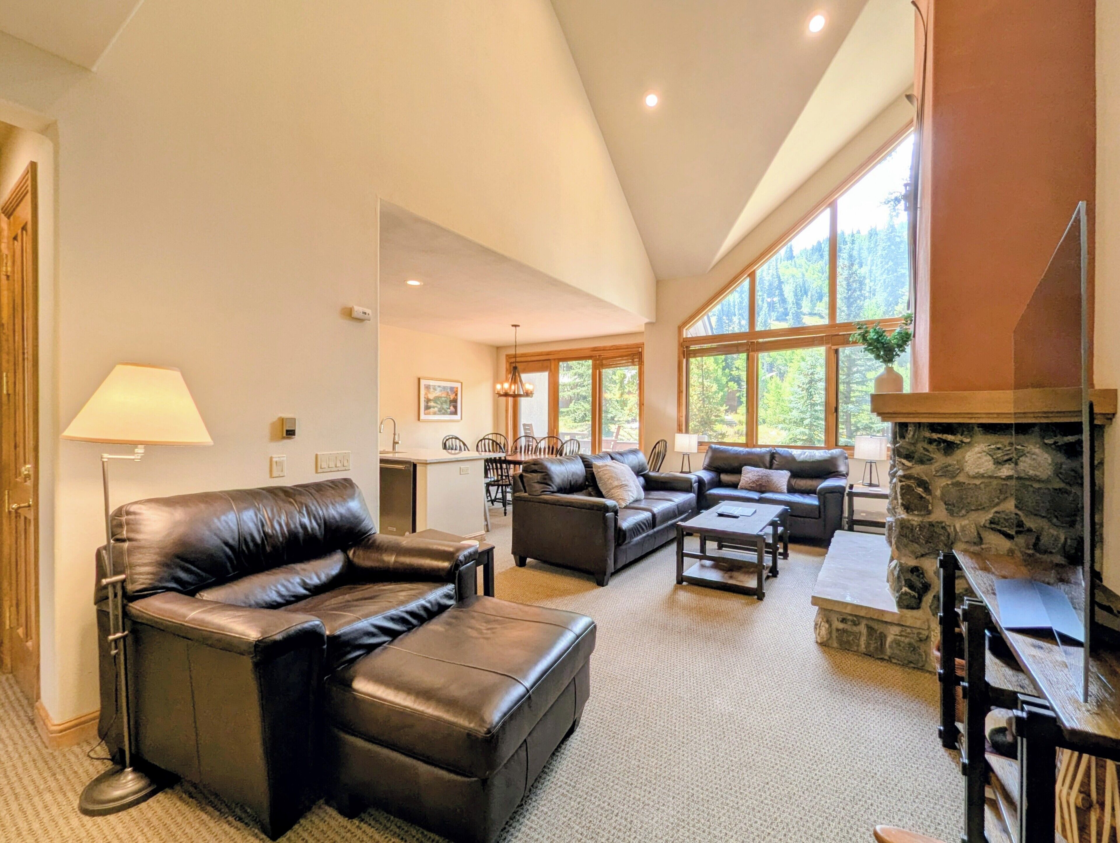 TV, fireplace, stereo, offices