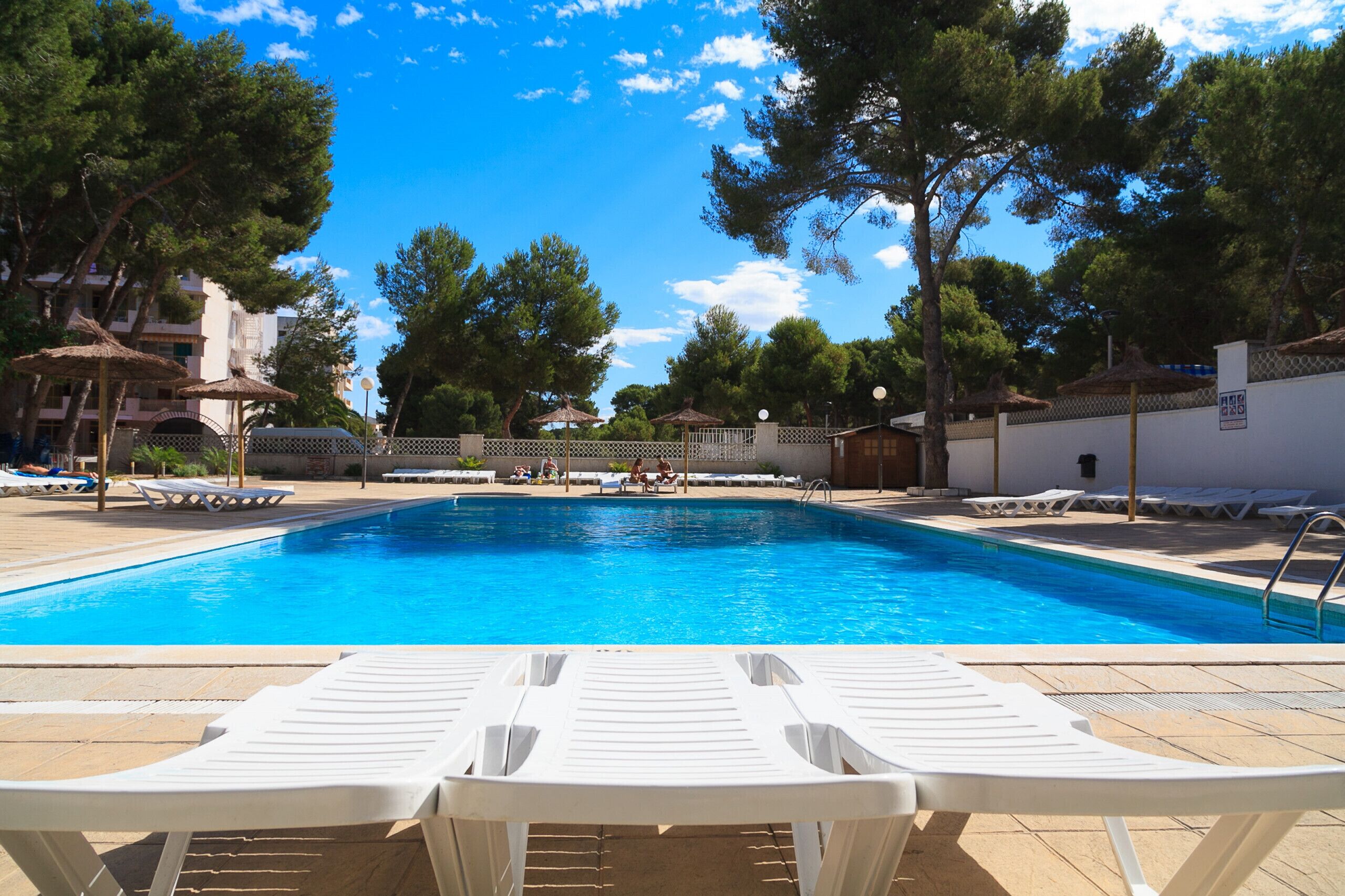 Una piscina con lettini, ombrelloni e alberi sullo sfondo.