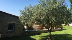 Un edificio de piedra con una ventana y un árbol al frente.