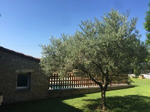 Terrein van de accommodatie