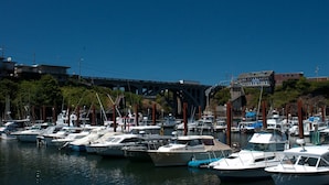 A marina with multiple boats docked, a bridge in the background, and buildings along the waterfront.