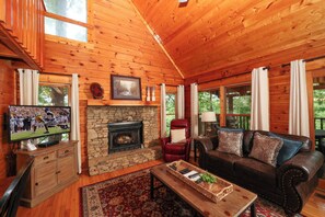 TV, peis, videospill og DVD-spiller